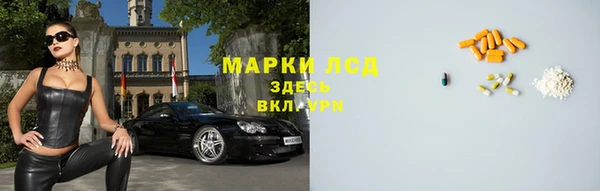 крисы Новозыбков