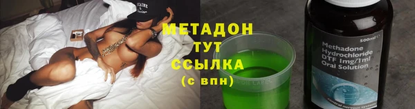 прущие грибы Няндома