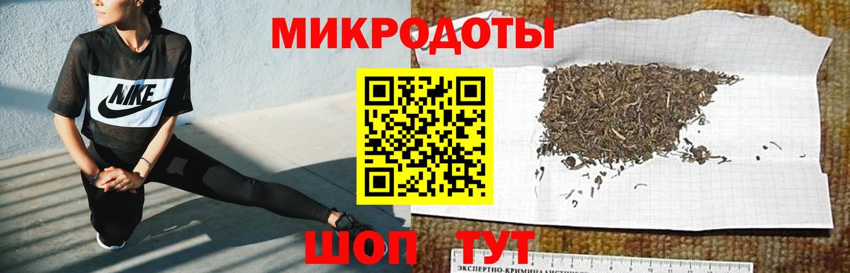 Псилоцибиновые грибы Psilocybe Краснотурьинск